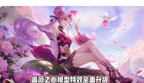 蔷薇恋人最新爆料,揭秘明星恋情背后的甜蜜与挑战